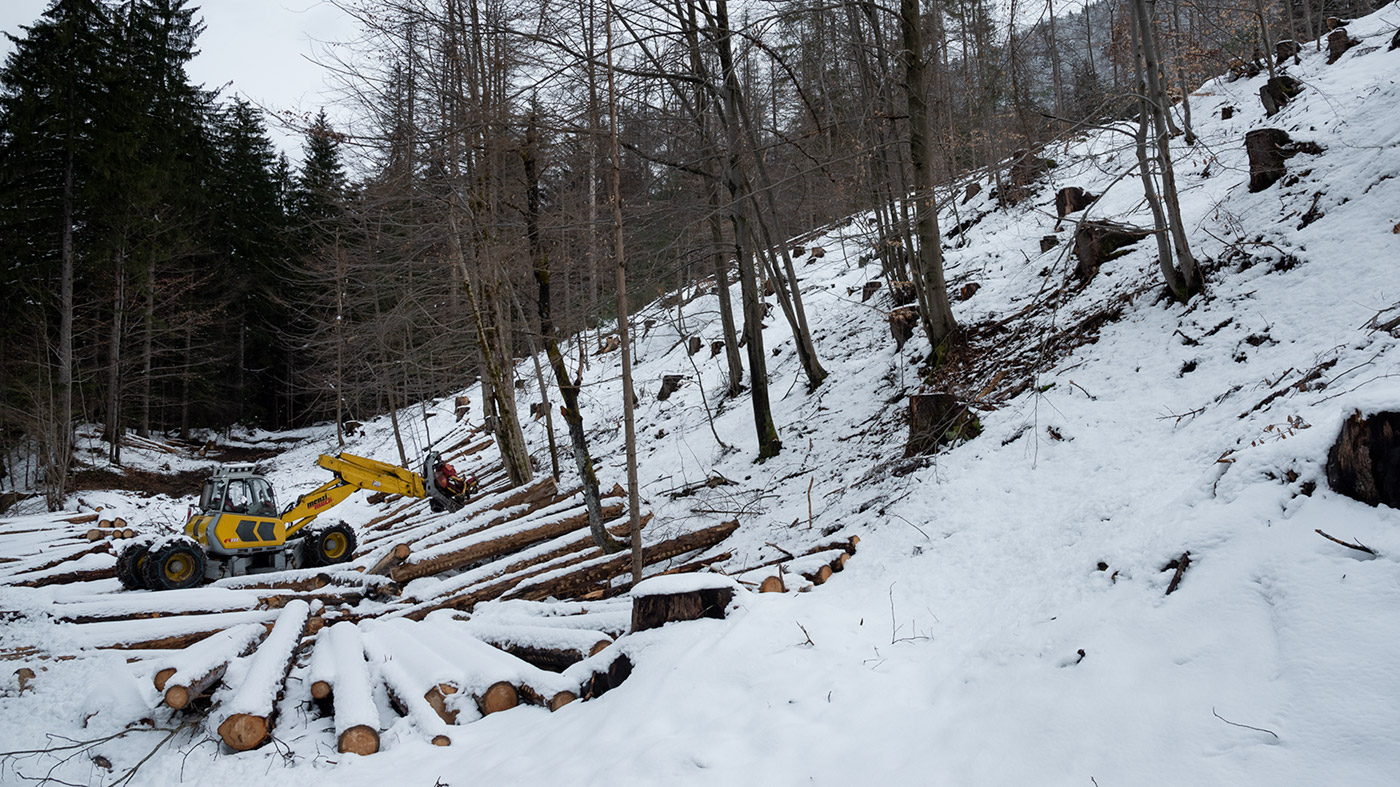 foto di accatastatrice circondata da tronchi e neve di Tommaso Battisti