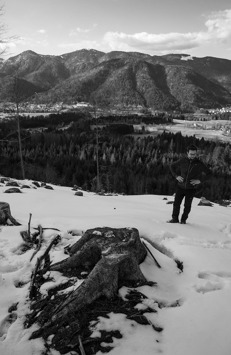 foto di ragazzo che guarda una ceppaia di abete sopra Tarvisio di Tommaso Battisti