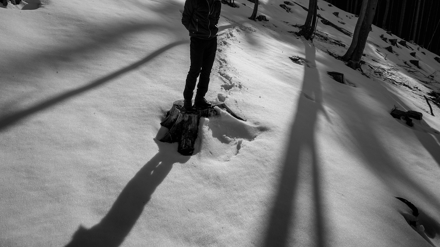 fotografia in bianco e nero delle ombre del bosco sulla neve di Tommaso Battisti